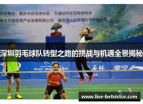 深圳羽毛球队转型之路的挑战与机遇全景揭秘