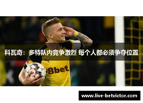 科瓦奇：多特队内竞争激烈 每个人都必须争夺位置