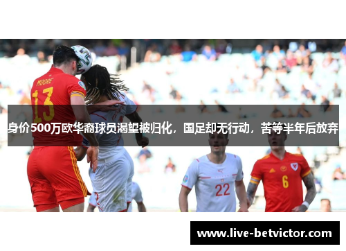身价500万欧华裔球员渴望被归化，国足却无行动，苦等半年后放弃
